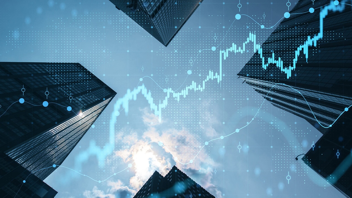 The Economic Ripple Effect: Vertesol’s Contribution to Local Economies