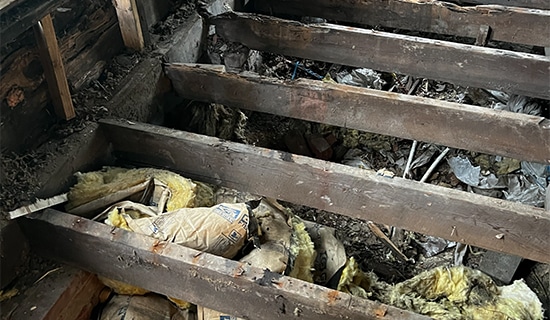 First Floor Moisture Issue Repair